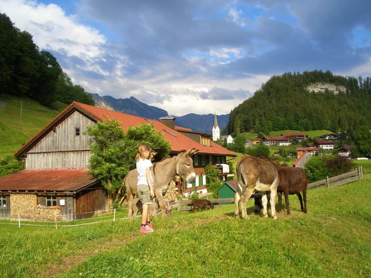 Haus Willi Apartment Oberstdorf Luaran gambar